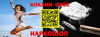 стаф Дубна