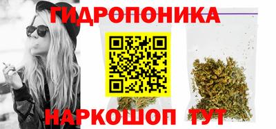 стаф Дубна