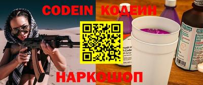 стаф Дубна