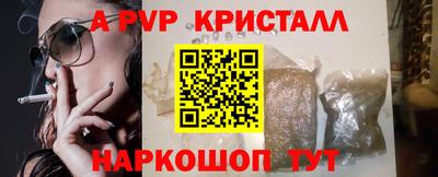 стаф Дубна