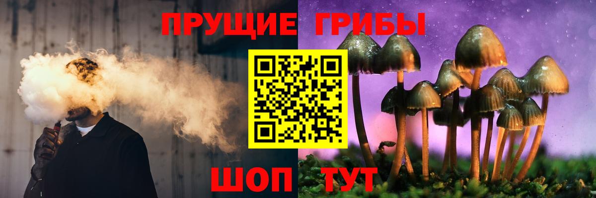 Псилоцибиновые грибы Psilocybe Нефтеюганск